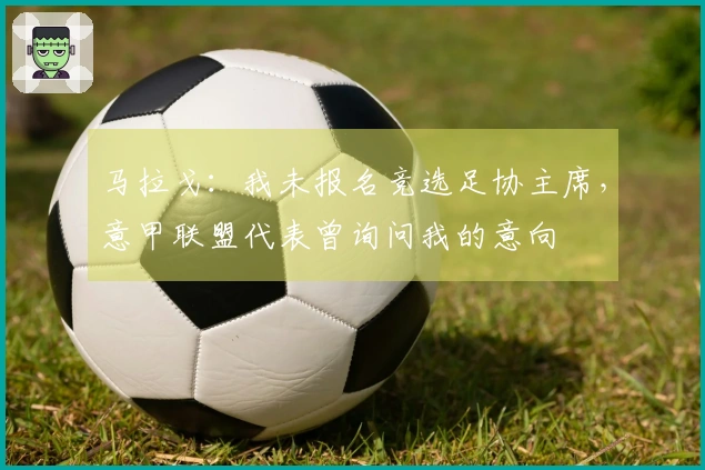马拉戈：我未报名竞选足协主席，意甲联盟代表曾询问我的意向